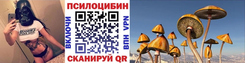 Псилоцибиновые грибы Psilocybine cubensis  продажа наркотиков  Ковдор 